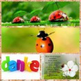 /album/bilder-von-den-meiner-artikel-im-blog/a11666176-1654567284777162-109587406931189682-n-jpg1/